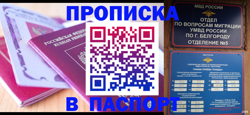 временная регистрация законно в Шагонаре